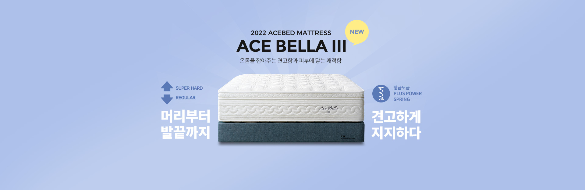 신제품 ACE BELLA III 출시!